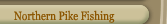Northern Pike Fishing