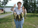 Miscellaneous Photos