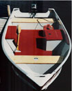 Miscellaneous Photos