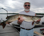 Great Northern Pike Photo Gallery