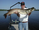Pike Photos