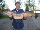 Pike Photos