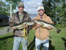 Walleye Photos