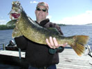 Walleye Photos