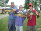 Walleye Photos