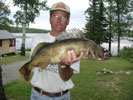 Walleye Photos