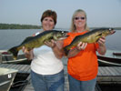 Walleye Photos
