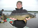 Walleye Photos