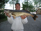 Walleye Photos